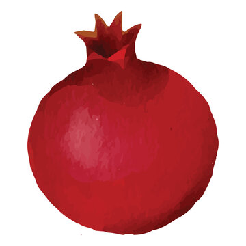 recommend clip art: Pomegranate Red Fruit Clip art Element Transparent Background