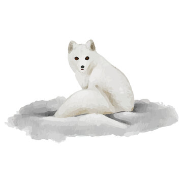 recommend clip art: Fox Winter Animal Polar animal Clip art Element Transparent Background