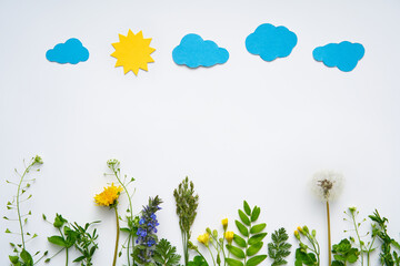 Creative composition of plants and flowers with paper sun and clouds on white background with copy...