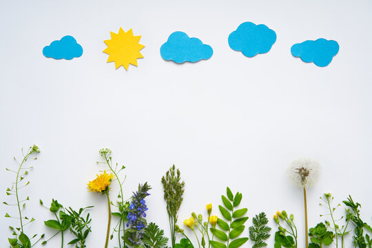Creative composition of plants and flowers with paper sun and clouds on white background with copy space