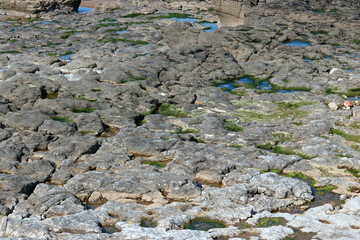 Close up of hard rocks worn by the ocean.