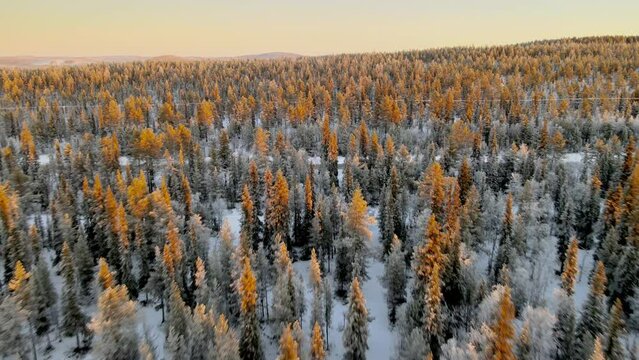 North of Sweden