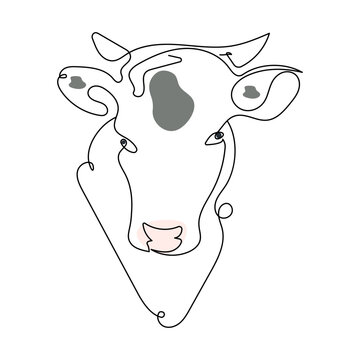 Head of cow, bull in one line art style.