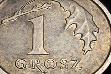1 grosz, i.e. Polish cent shown close-up in high resolution