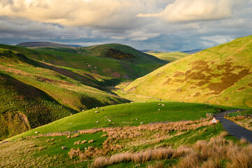 Upper Coquetdale Valley in the Cheviot Hills, where the River Coquet rises on soggy ground in the...