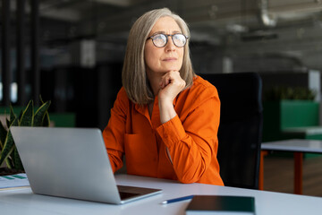 Portrait of pensive senior manager, successful gray haired businesswoman using laptop computer,...