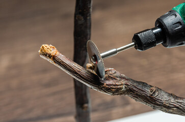 The master processes the tree with a multi-tool
