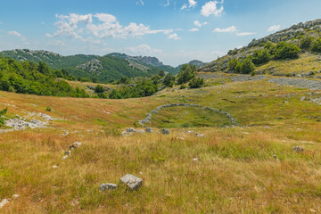 Fototapeta na wymiar Velebit mountain green landscape in summer time