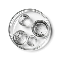 Petri dish with cosmetic or medical liquid and research transparent chemistry glassware