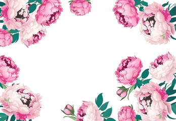 Peonies. Horizontal frame from pink elegant flowers. Vector decoration.