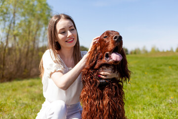 girl petting brown dog breed Irish setter outdoors in the park, woman walks with pet in the summer...