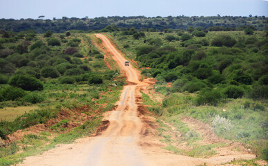 Landscape in Amboseli National Park, Kenya, Africa