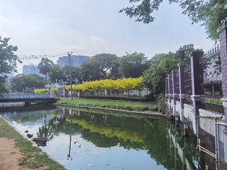 A park with big trees and a canal and pigeons.