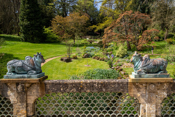 Bronze Brahma Cattle bridge in country garden
