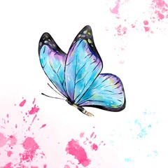 Blue watercolor butterfly beautiful colorful 