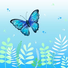 butterflies and flowers