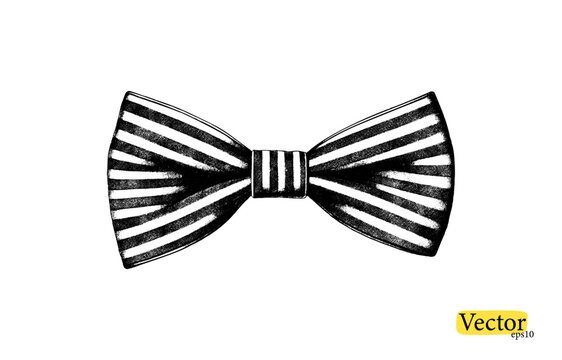 A stripped bow ribbon gift in a vintage engraved  style. Vector design for you banner, collage and idea.
