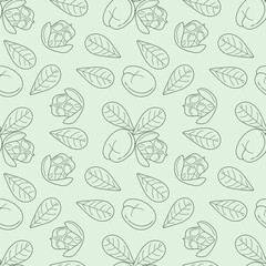 Ackee and leaves seamless pattern. Hand drawn ackee endless texture. Linear exotic fruit background. Blighia sapida sketch, Organic food. Vector illustration