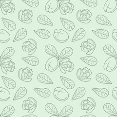 Ackee and leaves seamless pattern. Hand drawn ackee endless texture. Linear exotic fruit background. Blighia sapida sketch, Organic food. Vector illustration