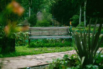Lonely wooden bench in a park with green plants around. Old wooden bench to relax in the park.