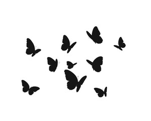 Fototapeta na wymiar butterflies silhouettes set black vector