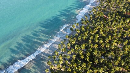 grass and blue water
