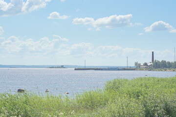 Obraz premium plant in the river
