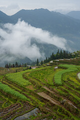 landscape of terrace fields, forest and villages in fog and clouds