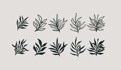 Floral branch and minimalist flowers for logo. Hand drawn line wedding herb, elegant leaves. Universal creative premium symbol. Vector sign icon logo template. Vector illustration