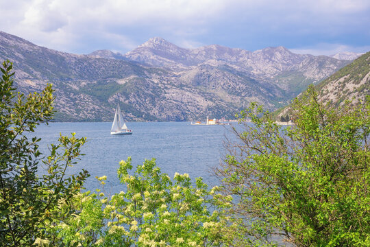  Beautiful spring Mediterranean landscape. View of Bay of Kotor near Verige Strait. Montenegro, Adriatic Sea