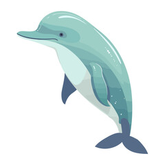 Cute dolphin sea life