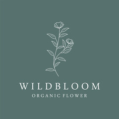 Hand drawn beautiful organic floral leaf and flower floral design logo for business, decoration, wedding, greeting card and photography.