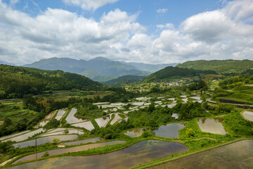 高知県本山町の吉延の棚田