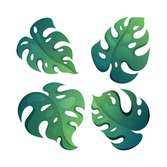 illustrations of a green leaf