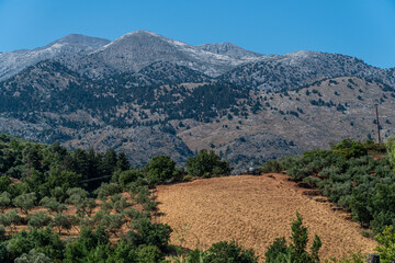 Dry farm with mountains in the background on the island of Crete, Greece.