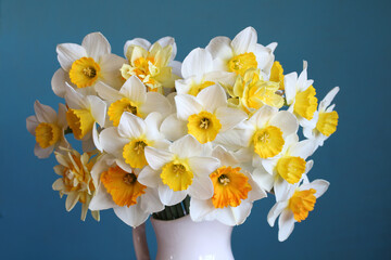 A bouquet of cultivated daffodils as a floral background.