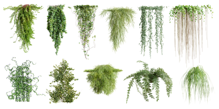 Set of various creeper plants, vol. 2, isolated on transparent background. 3D render.