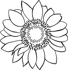 Late Summer Flower Illustration Sun Flower