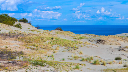Fototapeta na wymiar Curonian Spit landscape. Coastal dunes are under cloudy sky