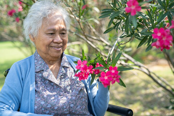 Asian elderly woman holding red rose flower, smile and happy in the sunny garden.