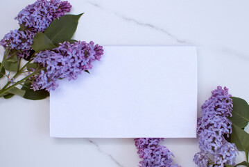 Composition of flowers. Sheet of paper and lilac flowers on stone background. Mother's Day, the concept of women's Day. Level position, top view. Template for your invitation or greeting card