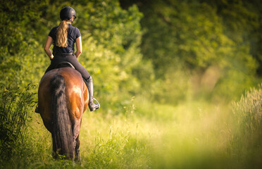 Girl horse rider on the green field. Trees in the background. Equestrian theme. - Powered by Adobe