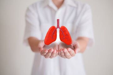 Hand's holding lung, concept of lung and organ donation or charity, hospital care, anatomy,...