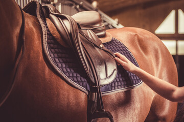 Adjusting saddle on the horse. Equestrian sport theme. - 605731186