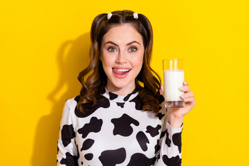 Fototapeta Photo of adorable tricky girl wear cow skin shirt licking lips enjoying milk isolated yellow color background obraz