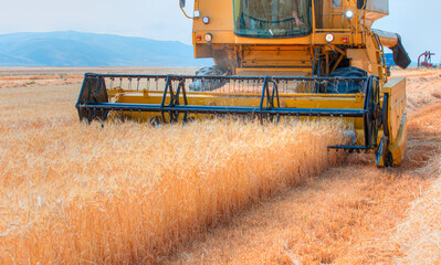Combine harvester harvesting wheat field with amazing blue sky
