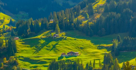 Foto auf Acrylglas Mont Blanc Beautiful Village nearby mountain, Switzerland