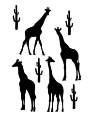 Collection silhouettes of giraffe. Tropical African animals. Vector illustration. Isolated hand drawings on white background for design.
