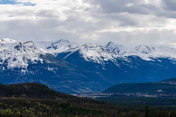 Obraz premium Fir forest, grassland, snow capped mountains. Blue sky and white clouds in the background. Canadian Rockies, Jasper National Park in summer. Alberta, Canada.
