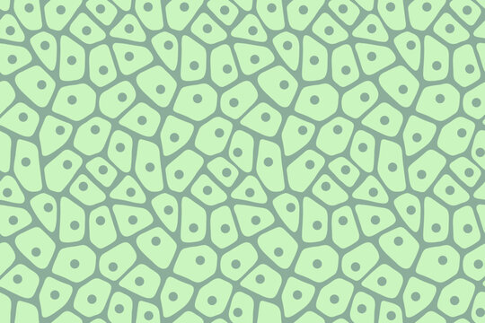 Seamless plant biological cell pattern
